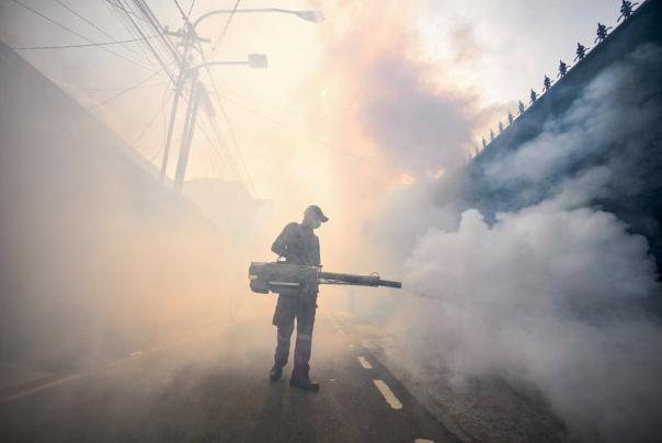 مامور کنترل آفات برای جلوگیری از انتشار پشه های ناقل تب دنگی، خیابانی را با ضد عفونی می کند، جاکارتا، اندونزی