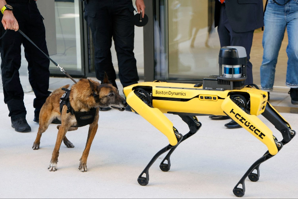 嗅探犬进行机器狗检查