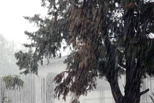 بارش باران شدید از ساعت ?? در تهران آغاز می‌شود/ سرعت باد به 70 کیلومتر بر ساعت می‌‌رسد