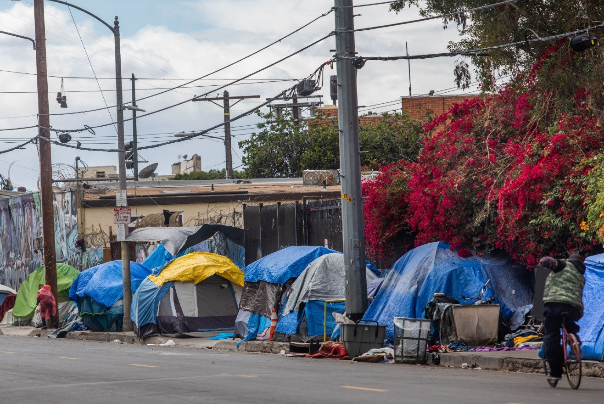 مسؤول أمريكي يتنبأ بكارثة لبلاده.. كورونا "سيثير الرعب" في الشهرين المقبلين