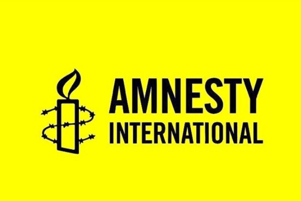 Amnesty International: US support for accession plan is green light to continue Israel's crimes against Palestine
