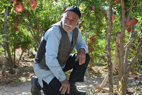 لمحة على مشاركات فيلم "ورقة الحياة" في المهرجانات العالمية