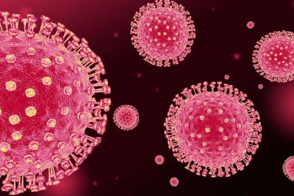 چندرسانه‌ای: از جهش ویروسی چه‎ می‌دانید؟