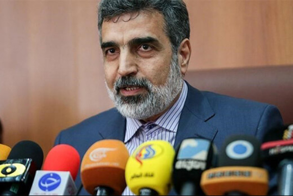 توضیح سخنگوی سازمان انرژی اتمی در مورد سفر گروسی به تهران