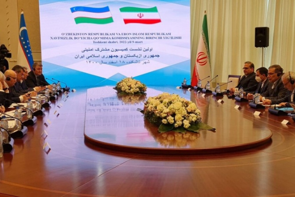 Секретарь Совета национальной безопасности Ирана встретился с советником по национальной безопасности Узбекистана