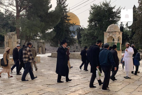 עשרות מתנחלים ישראלים קולוניאליים פורצים למסגד אל-אקצא בירושלים