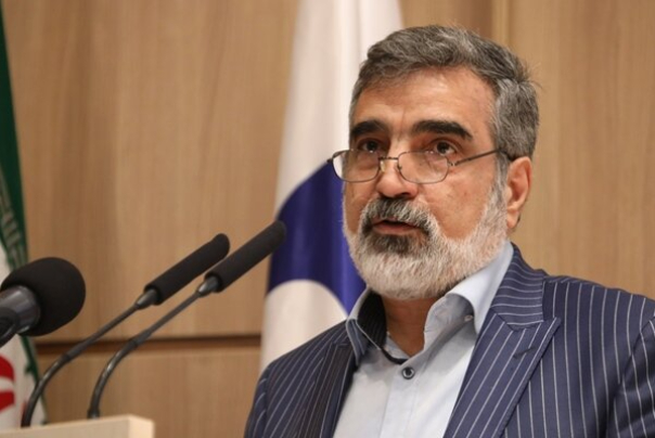 Камалванди: МАГАТЭ полностью осведомлено о действиях Ирана в комплексе Назанз