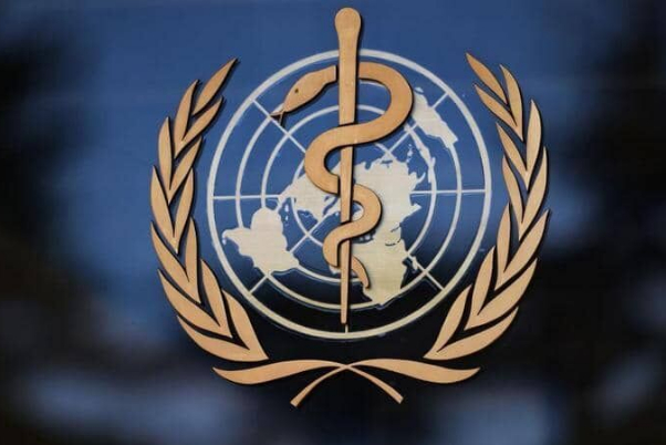 سازمان جهانی بهداشت «آبله میمون» را وضعیت اضطراری جهانی اعلام کرد