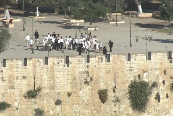 عشرات المستوطنين يقتحمون المسجد الأقصى