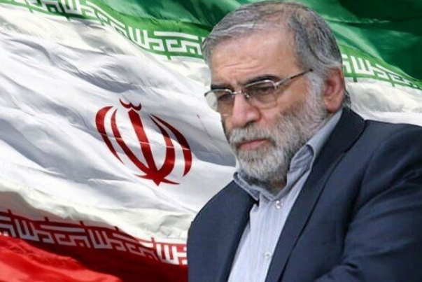 В Иране 14 человек обвинили в организации убийства физика Фахризаде