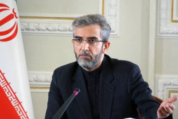 باقري كني: الإيرانيون في الخارج هم امتداد لاقتدار وقوة إيران الإسلامية