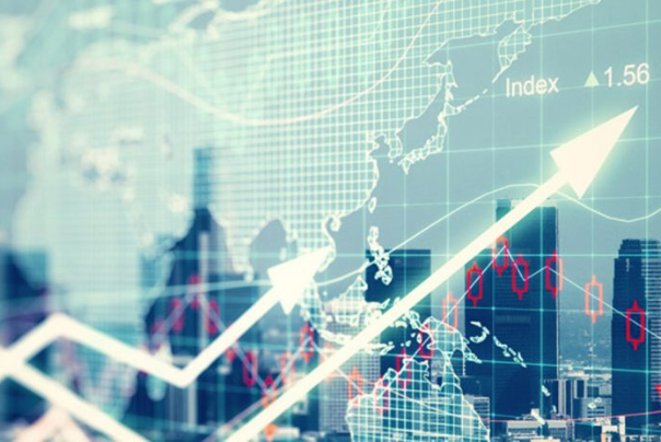 الإقتصاد في منظور السياسية