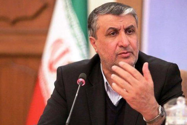 Глава ОАЭИ не считает решением принятие резолюции против Ирана