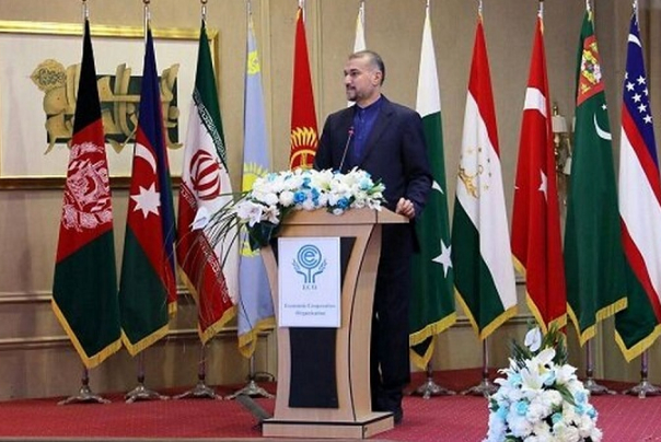 Амир-Абдуллахиан: Организация ОЭС занимает особое положение для Ирана