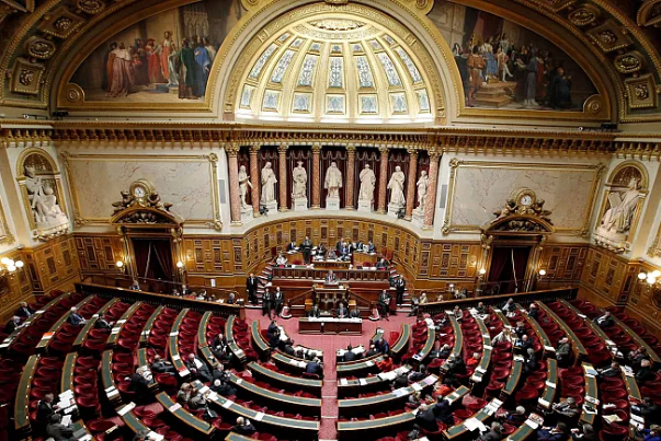 مجلس سنای فرانسه به اصلاحات جنجالی مکرون رای داد