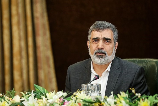 الطاقة الذرية تعلن انتهاء اسئلة الوكالة حول مكانين مزعومين