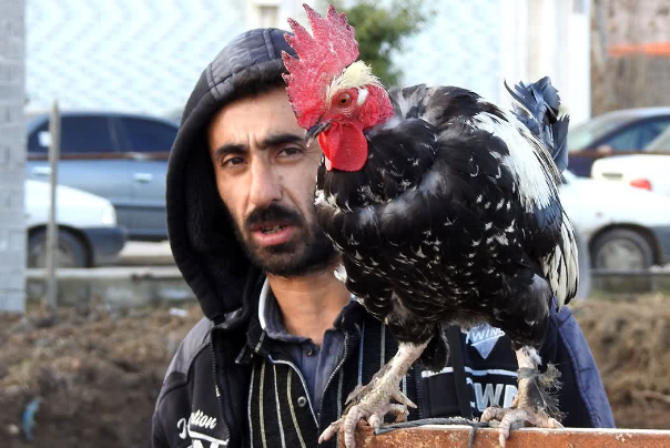 عکس+های+منتخب+ایران+،شنبه+۵+اسفند+1402