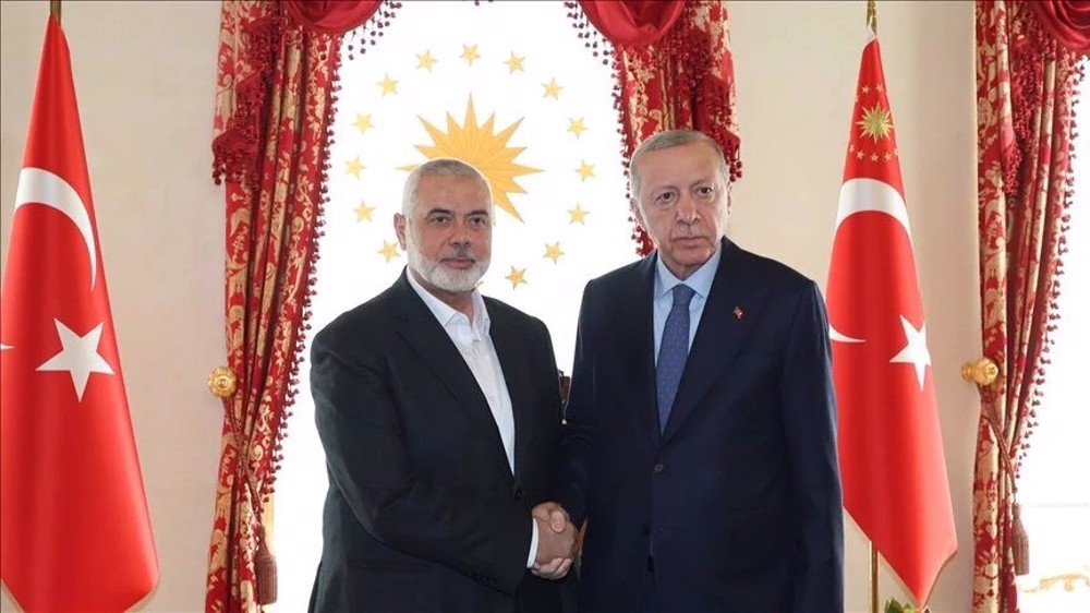 Türkiye Gazze savaşında arabuluculuk yapmaya çalışırken Hamas lideri Erdoğan'la buluştu :: Nornews