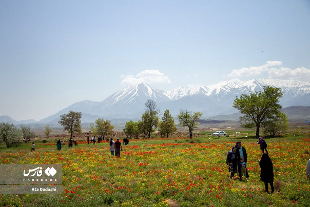 عکس+های+منتخب+ایران،+شنبه+1+اردیبهشت+1403