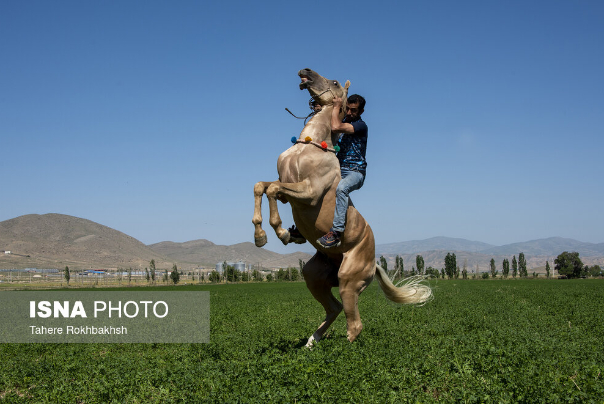 عکس+های+منتخب+ایران،+دوشنبه3+اردیبهشت+1403