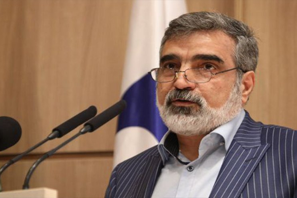 كمالوندي: الكيان الصهيوني يسعى لتدمير علاقات إيران مع الدول الأخرى