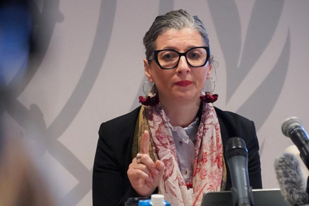 ألبانيز: الأمم المتحدة مجزأة ومشلولة في قدرتها على العمل كمنظمة