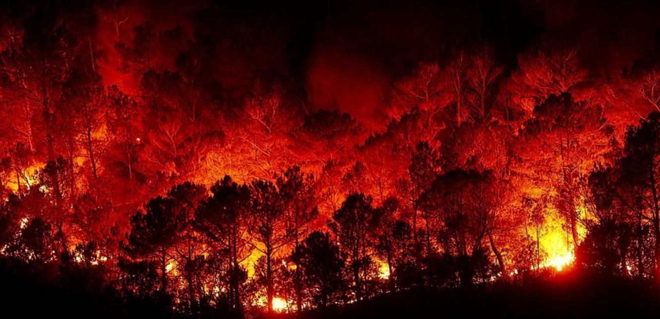 الحرائق تلتهم غابات لبنان وسوريا.. وتودي بحياة 3 أشخاص (صور)