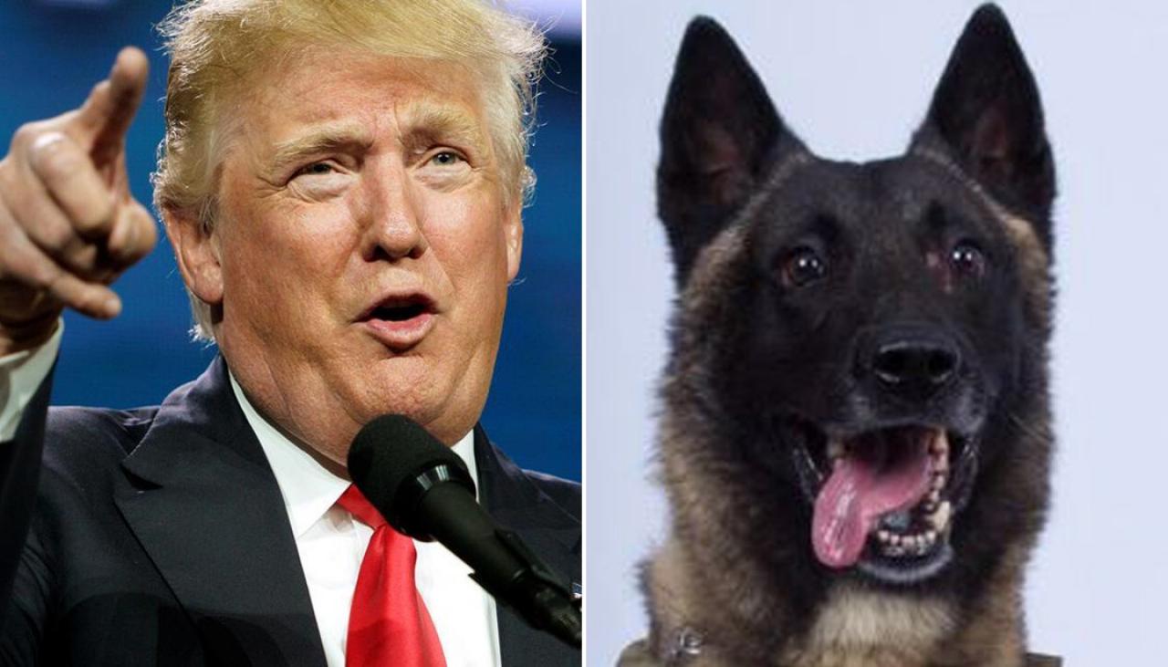 ترامب: حمينا نفط سوريا فأنا أحب النفط.. والإعلام الأميركي يعامل الكلب أفضل مني