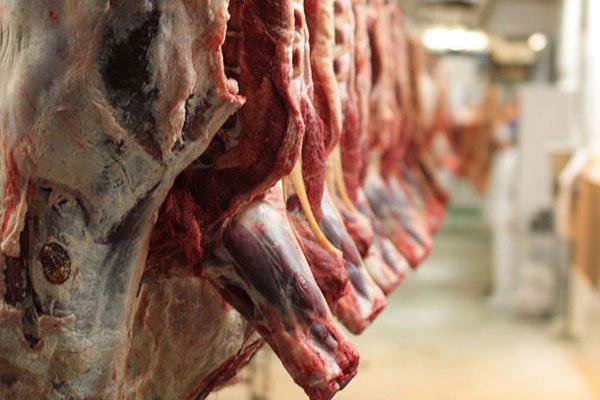 کاهش قیمت گوشت قرمز ادامه دارد