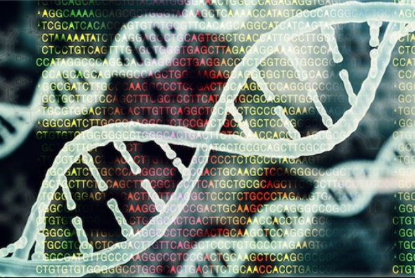ايران تتصدّر بلدان المنطقة والمرتبة 20 عالمياً في علم الوراثة