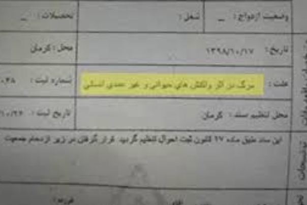 اصلاح علت فوت جانباختگان حادثه کرمان در ثبت احوال
