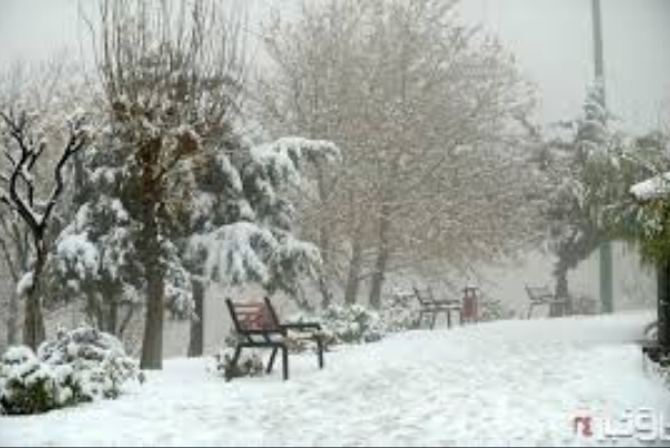 هواشناسی ایران 98/10/11|ورود سامانه بارشی به کشور از روز جمعه/ برف و باران کشور را فرا می‌گیرد