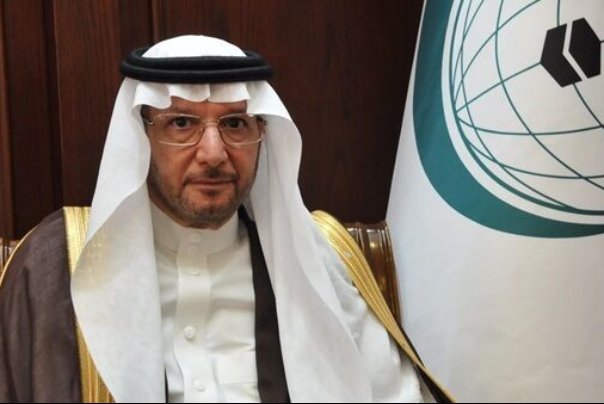 The Organization of Islamic Cooperation defended Saudi Arabia's position on developments in southern Yemen