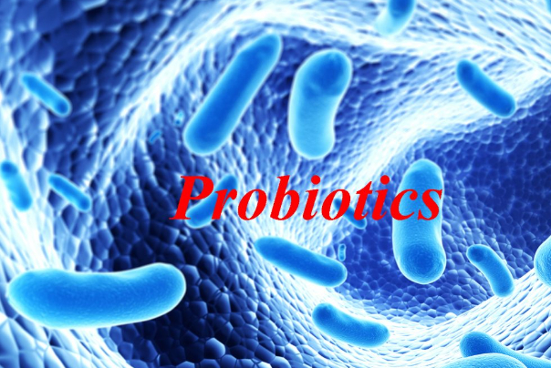 تولید پروبیوتیک از میکروارگانیسم‌های بومی برای تقویت سیستم ایمنی