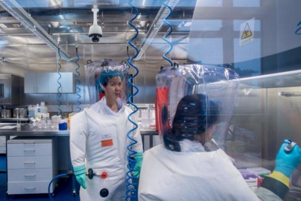 حلفاء لأمريكا يشكّكون في اتهاماتها للصين بشأن تخليق كورونا