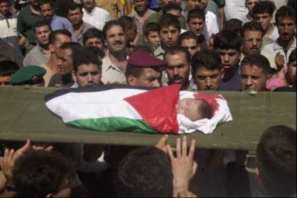 هذا هو عدد شهداء وأسرى فلسطين منذ نكبة عام 1948