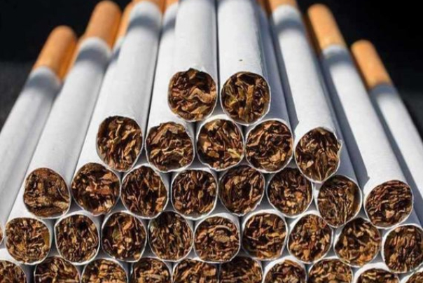 شركة سجائر تطور لقاحا لفيروس كورونا من "التبغ"