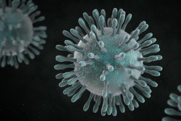 زوایای مبهمی از ویروس کرونا همچنان وجود دارد