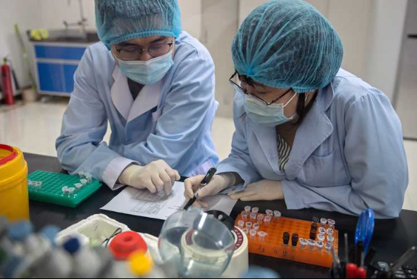 مخاوف من جائحة جديدة.. اكتشاف فيروس مزيج من 3 فيروسات في الصين