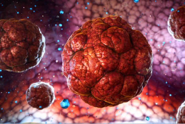 دراسة جديدة تزعم أن فيروس كورونا المتحور أكثر عدوى!