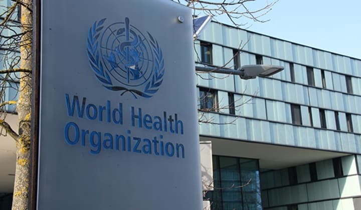 سازمان بهداشت جهانی: آمار «واقعی» جان‌باختگان کرونا در دنیا بین 6 تا 8 میلیون نفر است