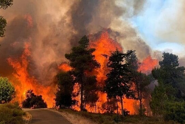 آتش‌سوزی گسترده در نزدیکی قدس اشغالی