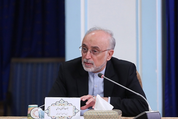 صالحي: مستوى الإقتدار النووي الايراني بات جلياً للجميع