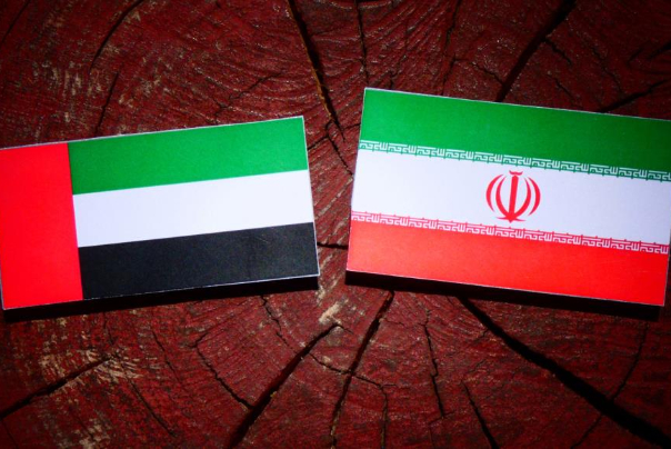 A UAE delegation travels to Tehran at the same time as the Vienna Talks