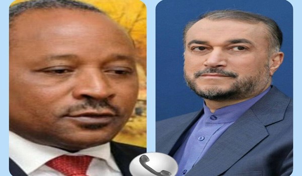 وزيرا خارجية إيران والنيجر يؤكدان علي تعزيز العلاقات الثنائية
