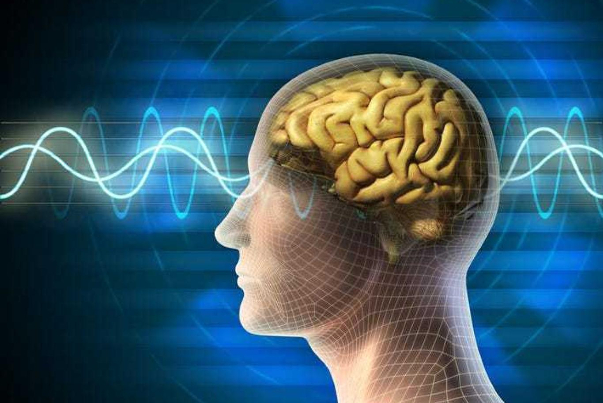 ضبط فعالیت مغز یک انسان در حال مرگ برای اولین بار