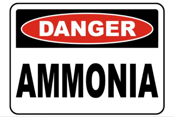 Toxic ammonia gas leak near the town of Dimona