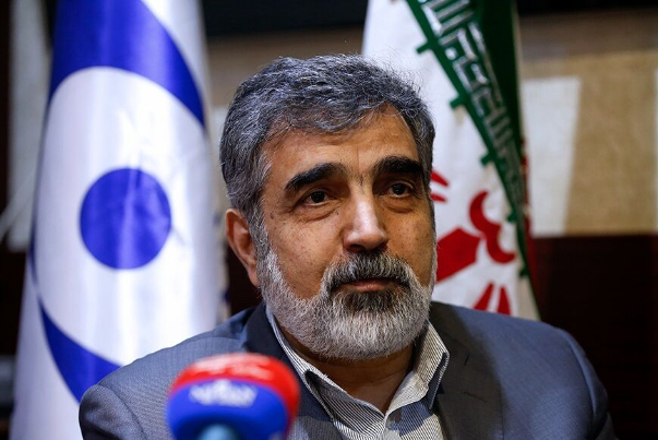 Атомная промышленность служит прогрессу и процветанию Ирана, заявил Бехруз Камалванди