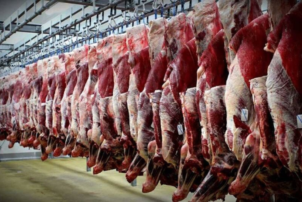 چرایی واردات گوشت گرم به بازار کشور
