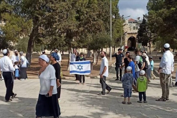 ביום השנה לכיבוש הישראלי של פלסטין, קבוצות מתנחלים קוראות להניף את דגלי ישראל במסגד אל-אקצא